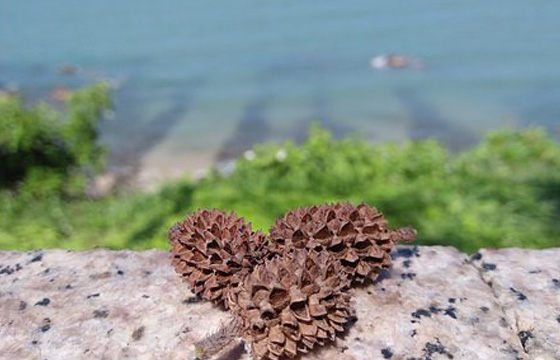 &#19975;&#35937;&#22478;&#45;&#19975;&#35937;&#22478;&#65288;&#20013;&#22269;&#65289;
